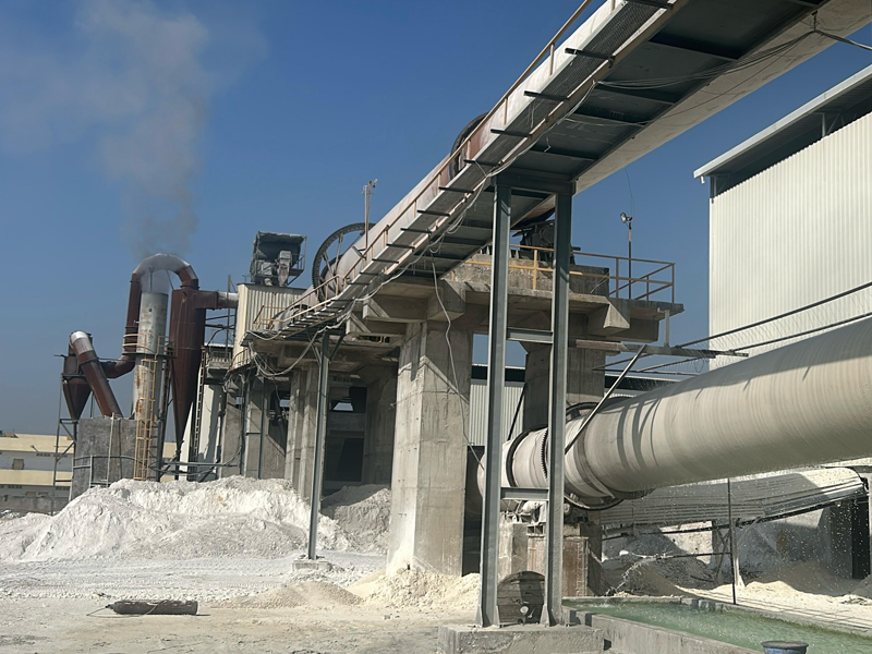 Calcined Petcoke Plant Manufacturers in India